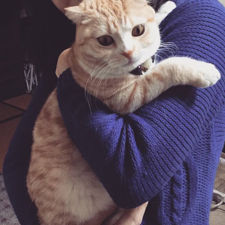 Faac6a4a 92a4 4da7 badc ff5d771c0b52 1511789260671