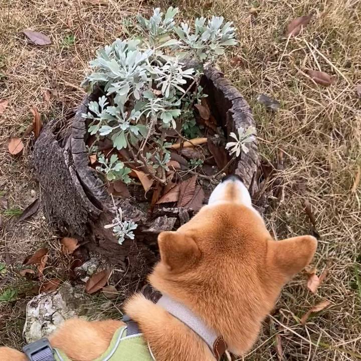 Faac71ac 293c 4d26 a68f 0903429601f4 1738053921532