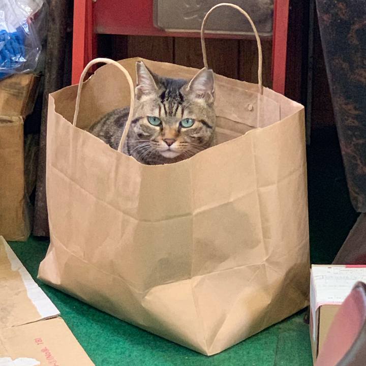 Faacb1eb 4a6e 4ca8 85f9 6e9a0e357103 1552887916267