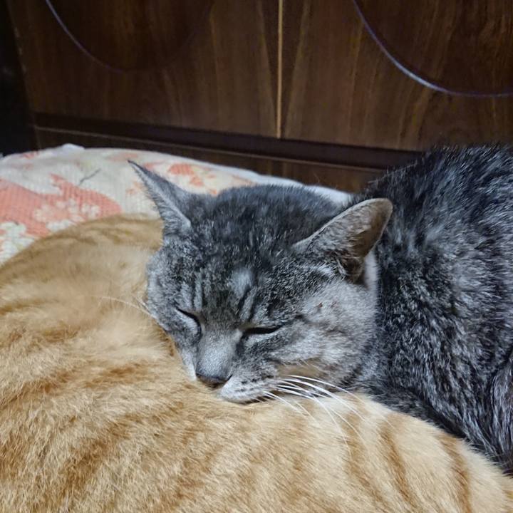 Faacda29 f63e 418a bd09 ffdf16d919ad 1577273408680