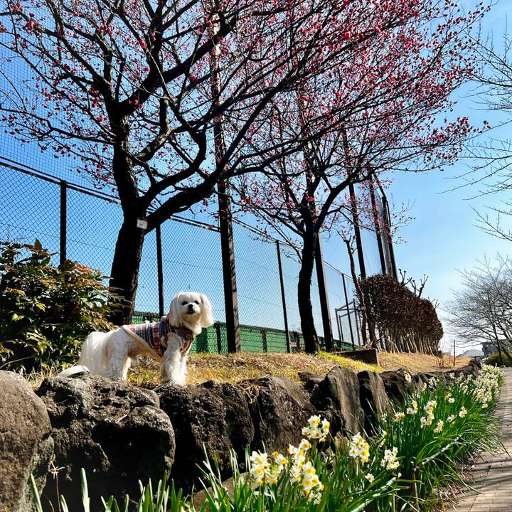 Faacf513 d30e 4726 8083 c5f9aafb599d 1675929577515