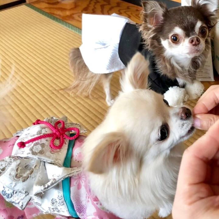 Faad024e 1314 49ab 88af 9d97d45047e2 1546570470687