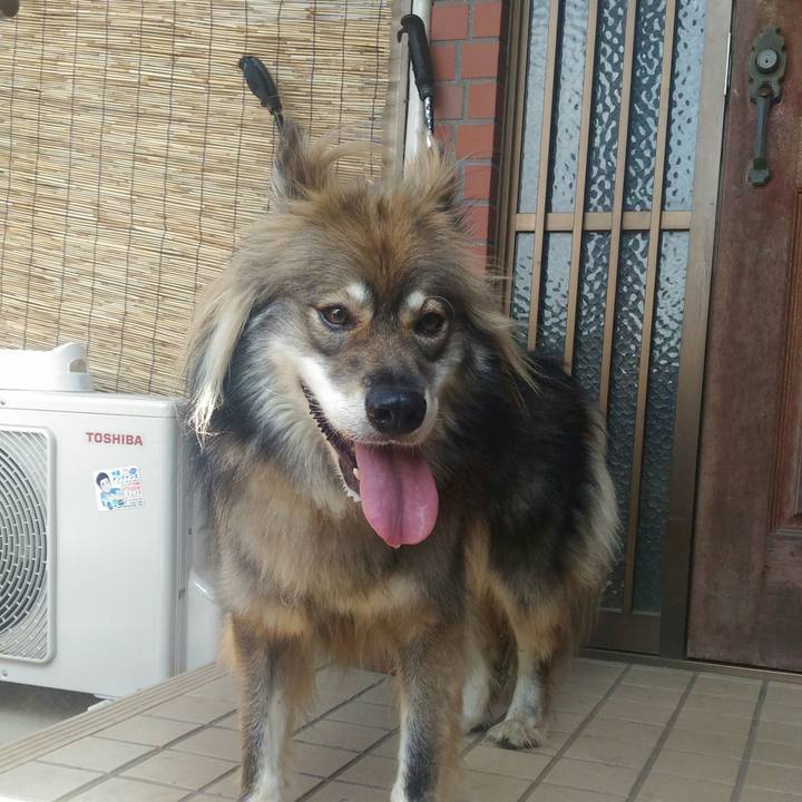 Faad3d11 6aaa 4568 9d3a 88d1f371e0a3 1539135191466