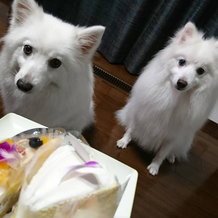 Faadb7b0 dd79 4441 9bc5 37618751821a 1594466565093