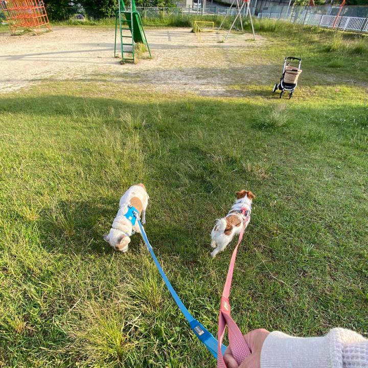 Faadd24b 36b1 474a 9541 e838f0804115 1716330327412