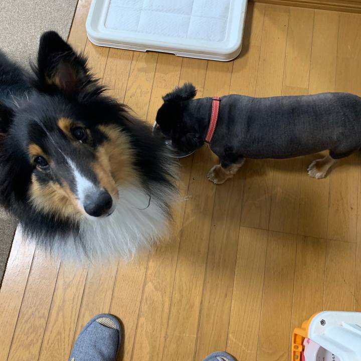 Faae0505 926e 4615 808e 49d386028415 1561672693906