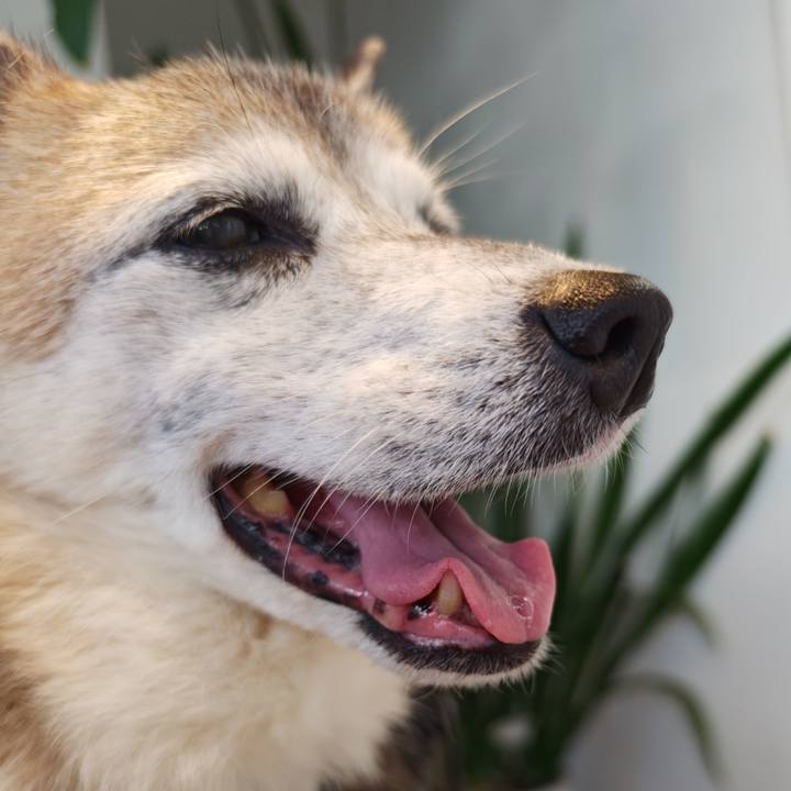 Faae2332 e965 4cae 89c2 6197630b2699 1765030657155