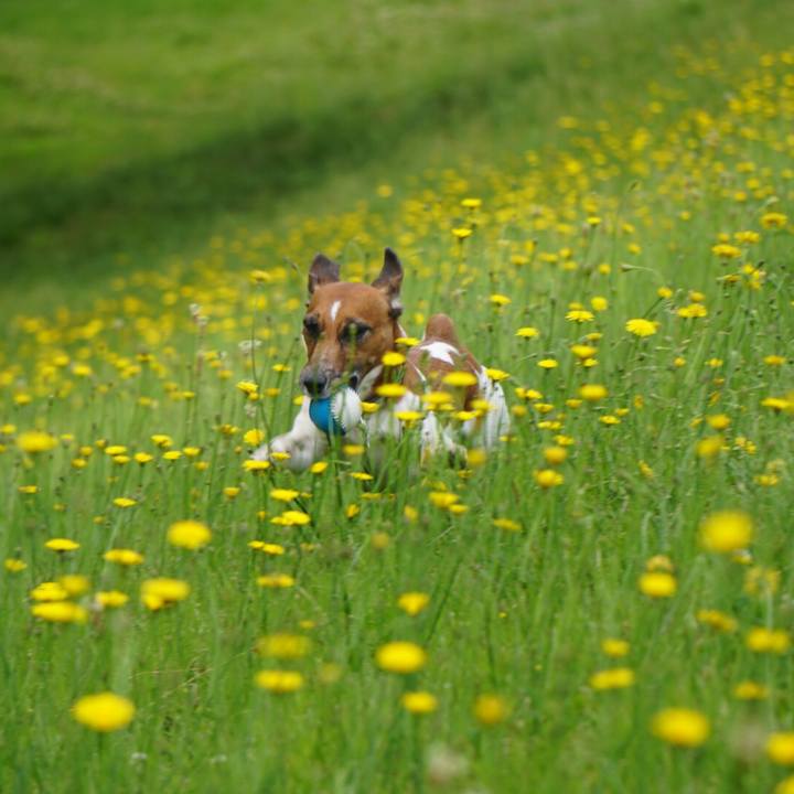 Faae2ad5 8821 4902 8c49 c41c9727e8e4 1558997184778