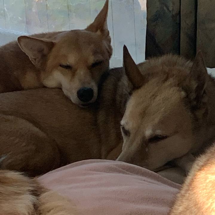 Faae3cb4 a75b 4b8f ba64 fc0292a4b481 1733655783481