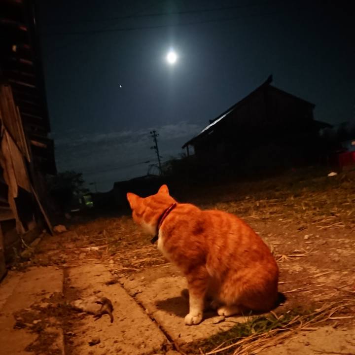 Faae79d7 2f79 4550 bb84 a2636e43db60 1601635416233