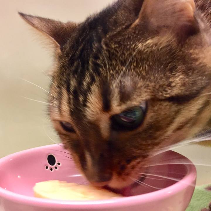 Faaeb7c3 9424 4080 951f 564bcd5efcf1 1516319250605