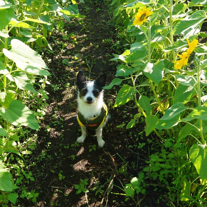 Faaebaa2 1f73 4d5a beac 8b67d0e95461 1603624667242