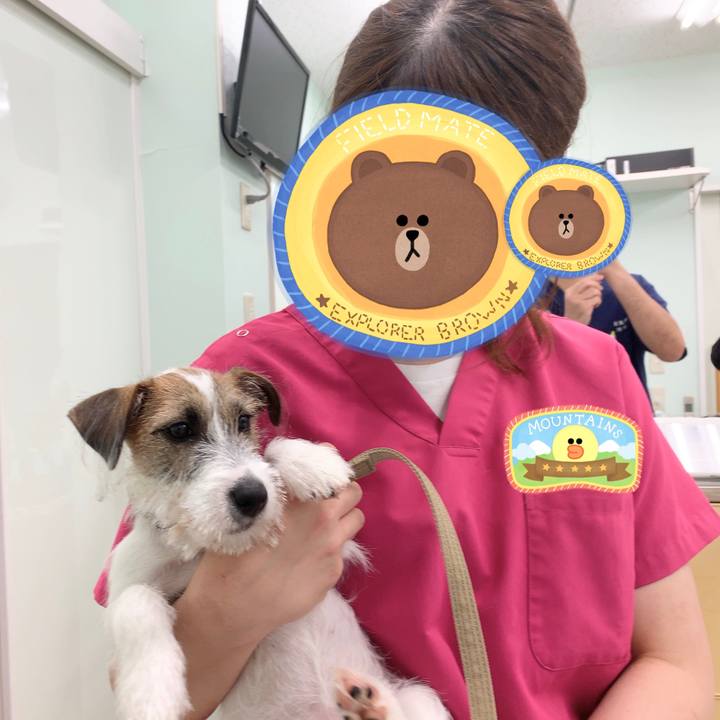 Faaec434 60b0 4aaa 83f6 8618adf25663 1564325321506