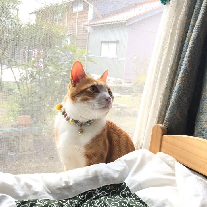 Faaf2815 8d52 4218 836e a5b134705df1 1571710342303