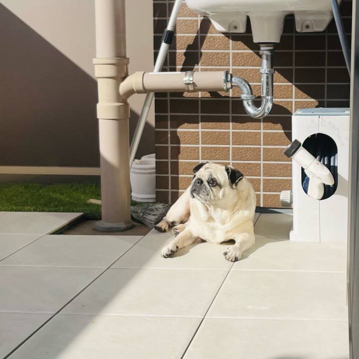 Faaf2b84 6a02 4301 ba04 2dd2687538fb 1771936168160