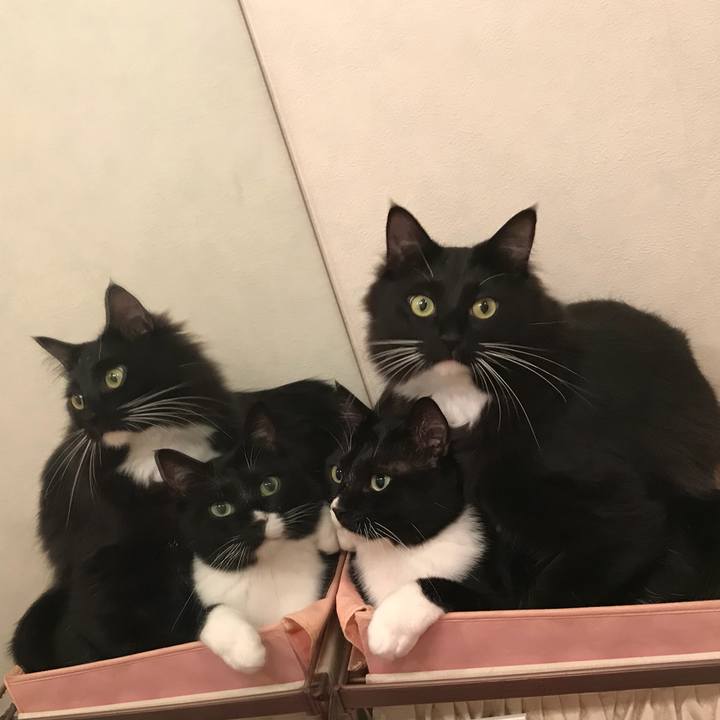 Faaf5b82 6c2f 4cf9 a2f7 9fa6fbb99ad2 1522971145639