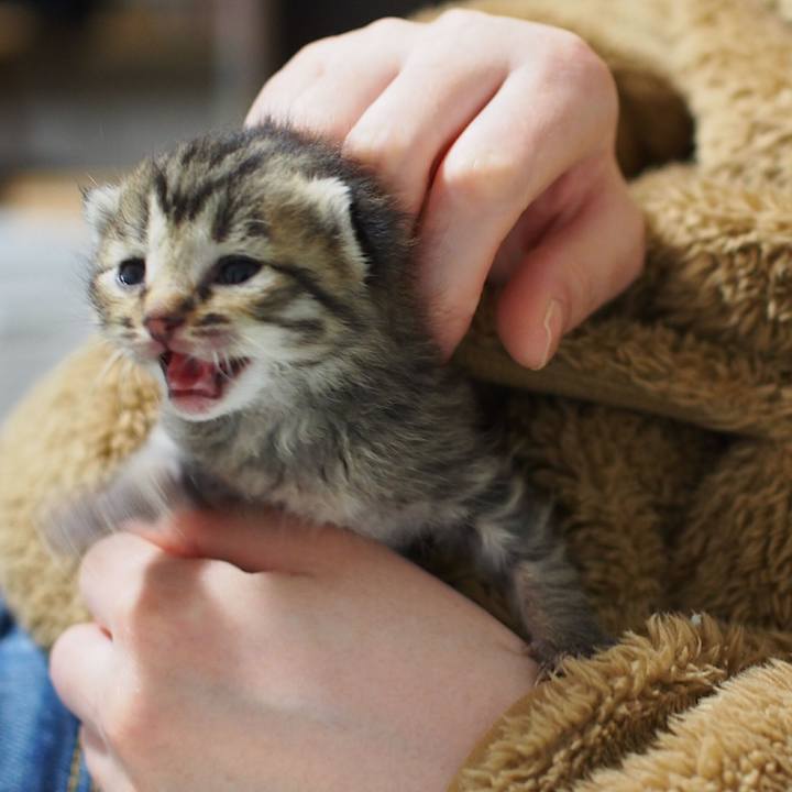 Faaf6c87 6408 4441 9861 023cbe16a226 1558757808152