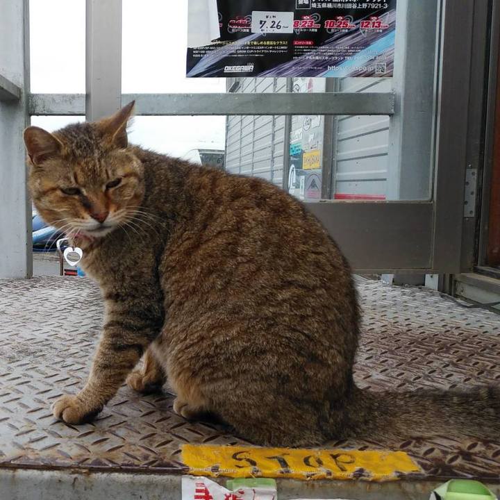 Faaf7f2e dd1d 47bb b1ec f0cde21f76e5 1593738698083