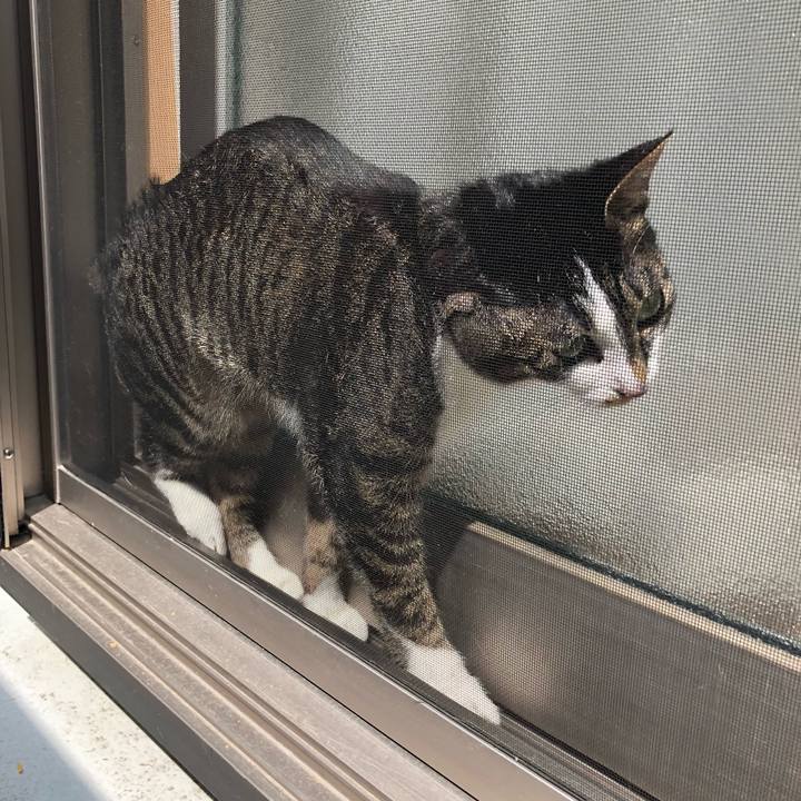 Faaf883d d5a5 4747 895d 80582f4fc3f1 1522123211047