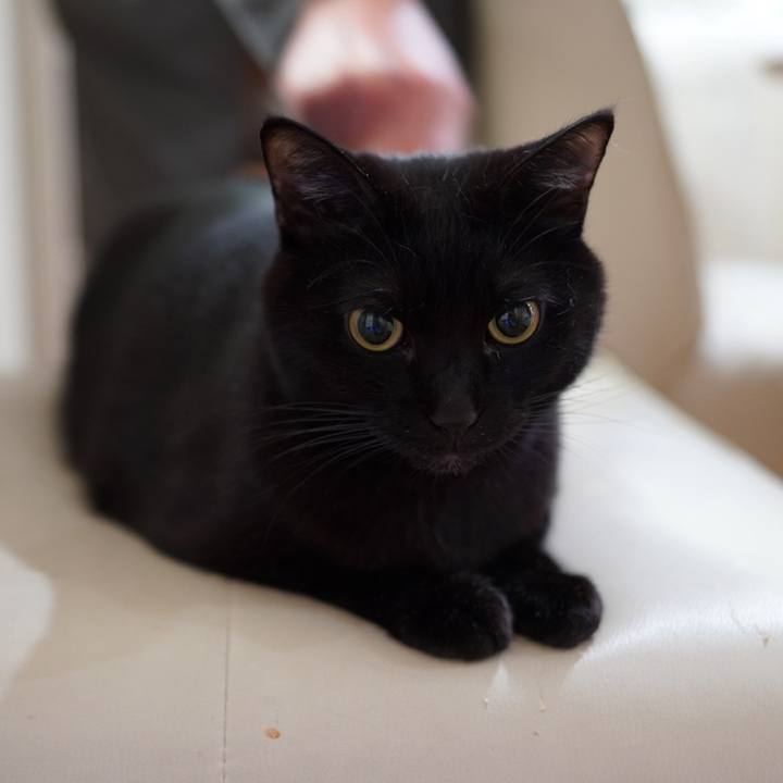 Faafb871 d5e3 4ce1 a5d8 beea1bfed8f5 1730700786083