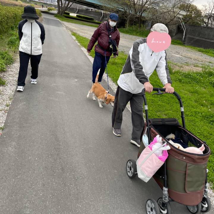 Faafd040 67eb 4878 ae7b 4e8454a95562 1680186395311