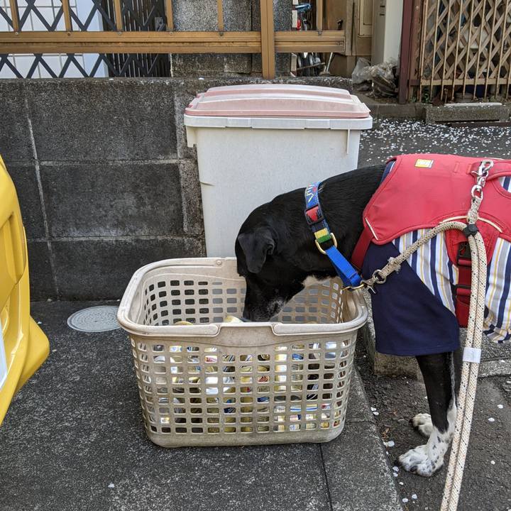 Faafd85b a47a 4cda a3d0 a261ed938ca2 1678151135564