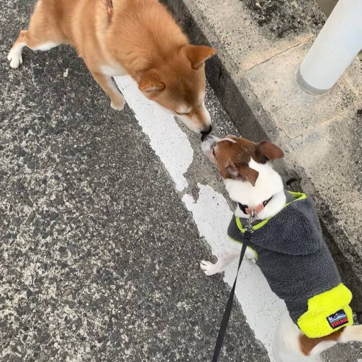 Faaff880 a0a4 41e9 9014 43d3d20994d8 1576370039316