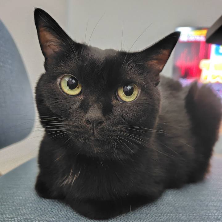 Fab0549b 3f48 4cbd b3bc 4cda52f6fcaf 1730114917775