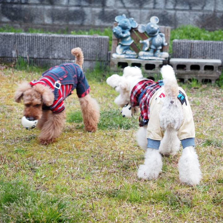 Fab08e24 6e51 4a59 972a 636ebcb43a09 1553091480575