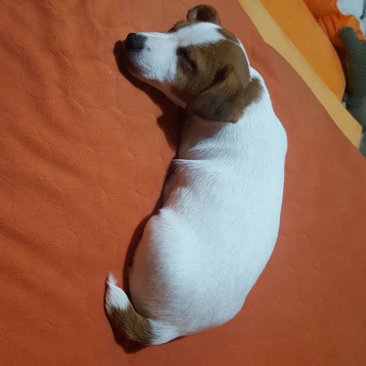 Fab0a14d 3284 44b9 91d6 8488fa49c6a1 1550138949156