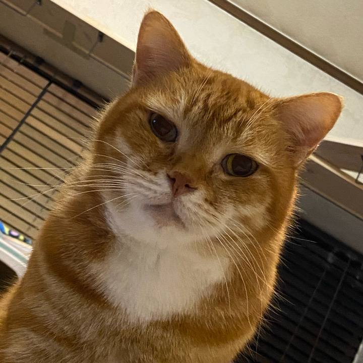 Fab0a3e9 ac8f 4b12 bbf9 3a1abc08478b 1648911650799