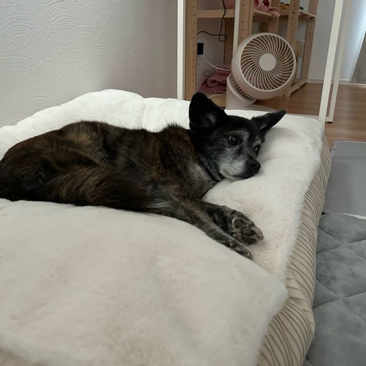 Fab0aae6 f52a 4ff4 ae3b c439ee0965c1 1728739279701