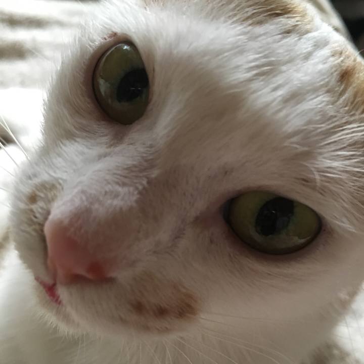 Fab0d57d c3a7 46e4 9c98 9730ad7119d6 1533337811565