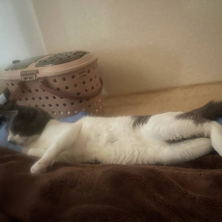 Fab0e6b6 1647 481a bc54 d036b2d5acf5 1631492228248