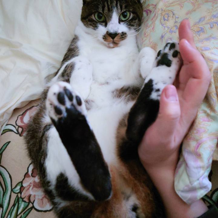 Fab0f0c8 79d5 425c 9537 8c71f0a65bde 1763556669973