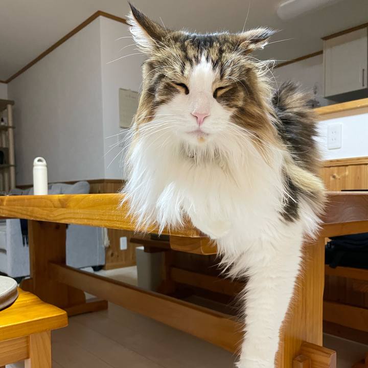 Fab0fa13 f5d5 4b03 9d1f ba5222c383a8 1676552348700