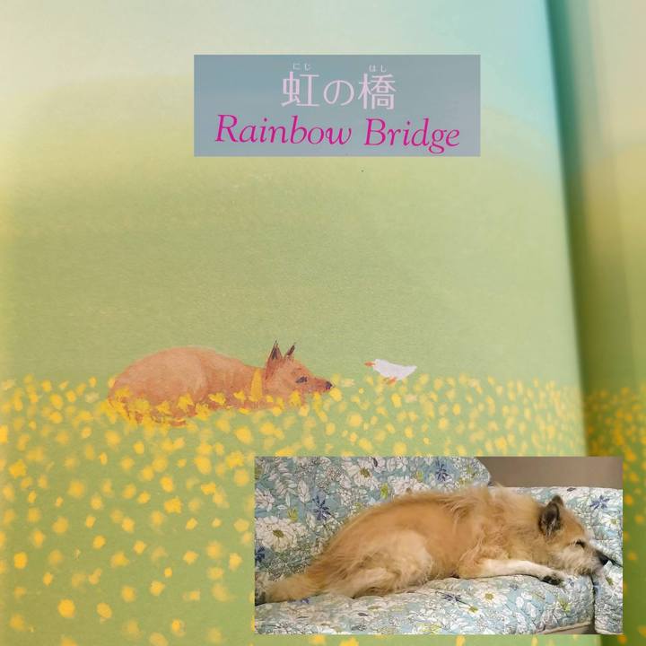 Fab14615 a579 49fd adda 0f471d49687a 1667557744600