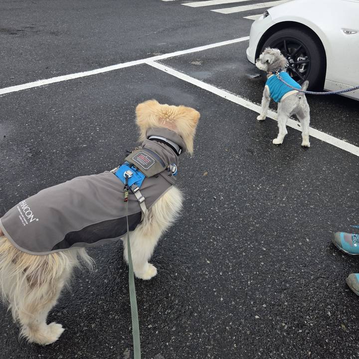 Fab15d96 21fe 42dc 8017 4ecd5698f9ac 1759795595382