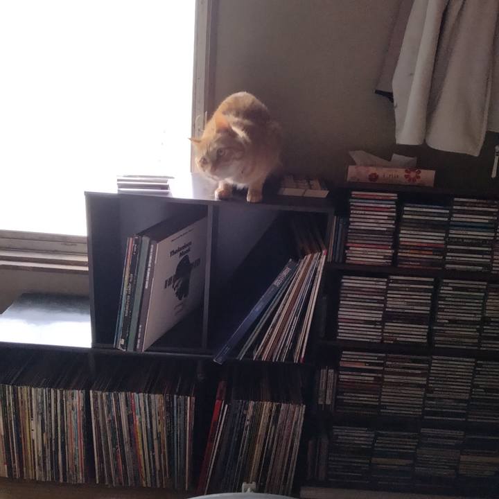 Fab16475 d7fb 439e ba00 e8b4676cc56a 1667635745253