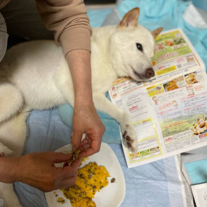 Fab16da1 ac50 441d 88b4 4031f9a423dd 1652439282646