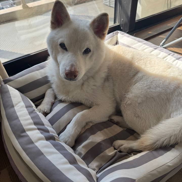 Fab176f5 3495 42af bd7e 6be590e8ebc5 1774327159904