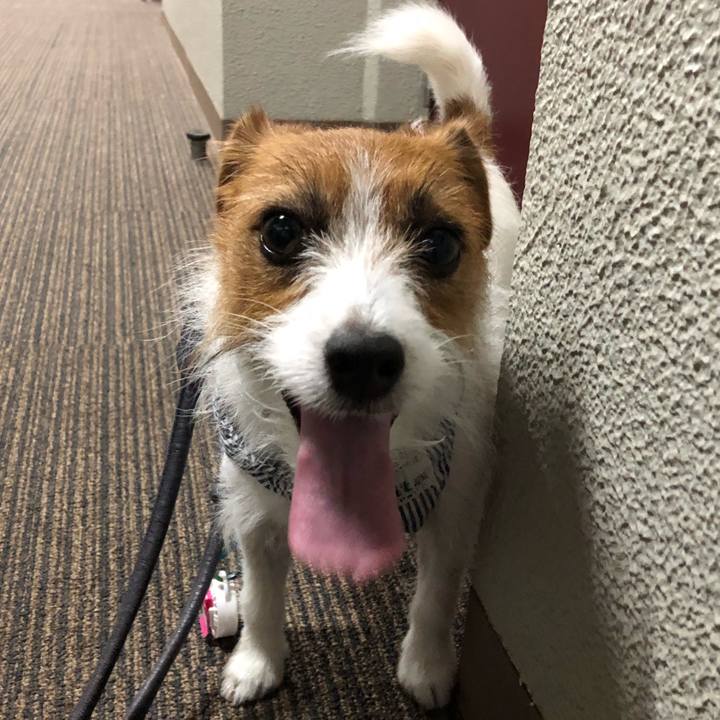 Fab1933f 79b0 4bc4 82bd b0a82cfce60c 1531004530623