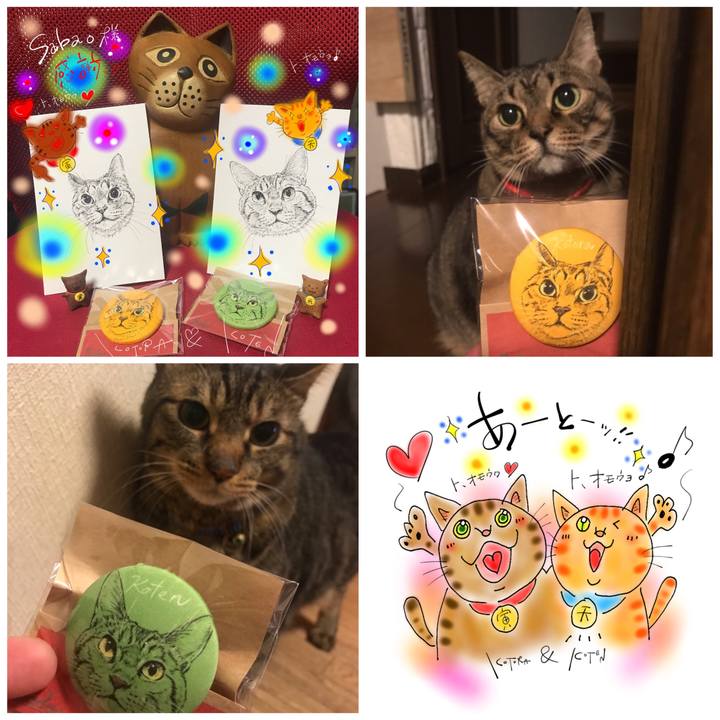 Fab1bdab 5761 4b40 88a0 2f919e6d0f43 1634390312647