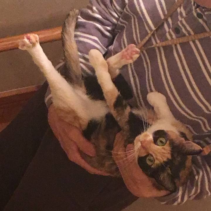 Fab1c19b 43cd 46d3 8a49 b15fb1d17b86 1509373164793