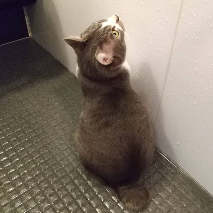 Fab1ce68 ddae 4c0c bc39 1fc3a45ef7f9 1611956223335