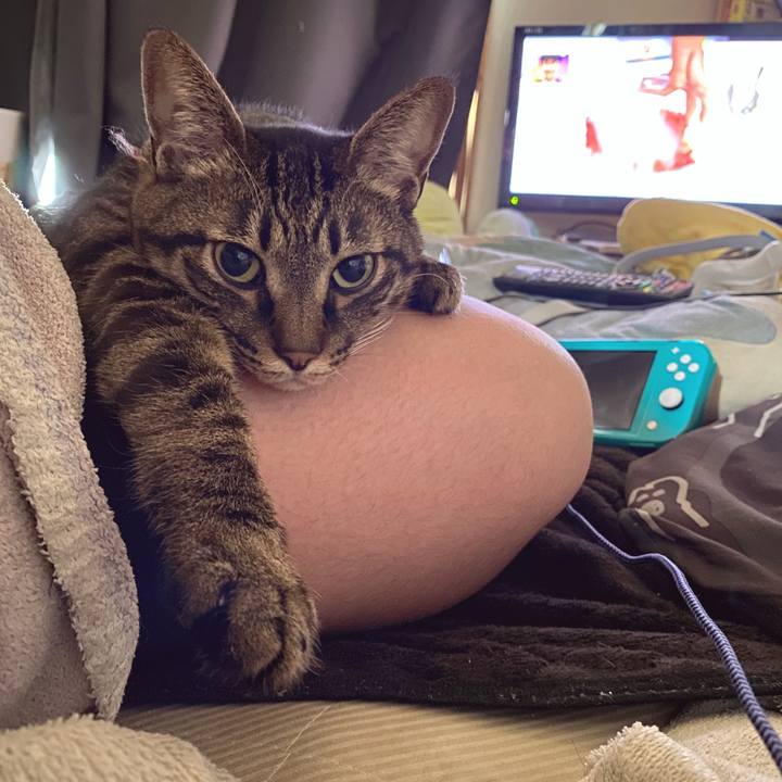 Fab229fc c1c1 4b0f 8f4b 6d8b2938a9f0 1611807573073