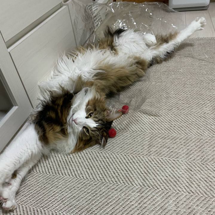 Fab260d4 7534 48b8 b0a1 42be63dcfa42 1674762435757