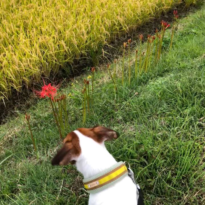 Fab26fb2 47d3 40f8 a8d6 7a3fa925764b 1537707545422