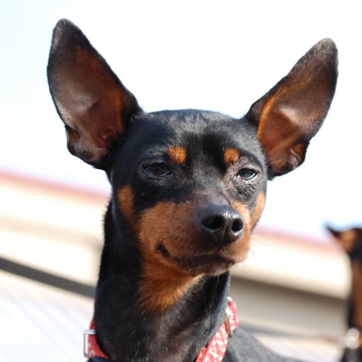 Fab27193 3d29 40ee b31d 44f05507a41b 1772706339273