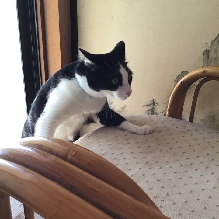 Fab29102 b394 4f33 8292 2faa83c893f6 1757225833408